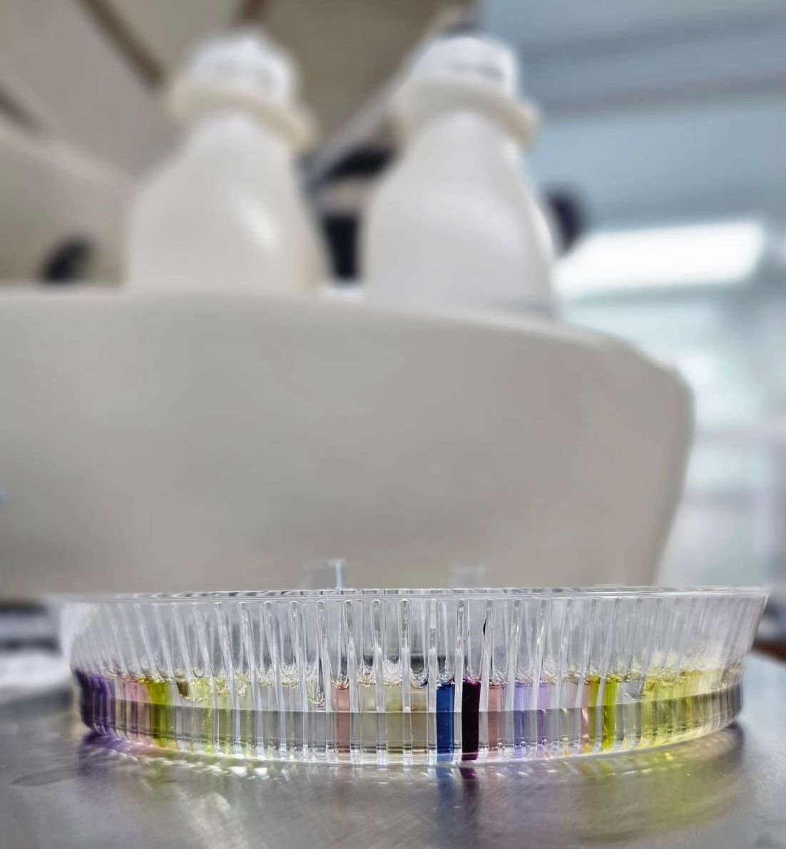BIOQUÍMICA E IMAGEN DEL NOROESTE - Estudios divresos BIOQUÍMICA E IMAGEN DEL NOROESTE - Estudios divresos