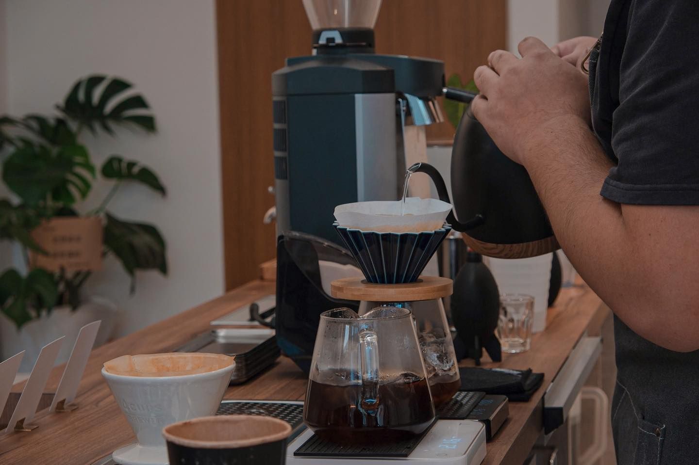 一歲生日回饋計畫|Bottom Coffee 本質咖啡