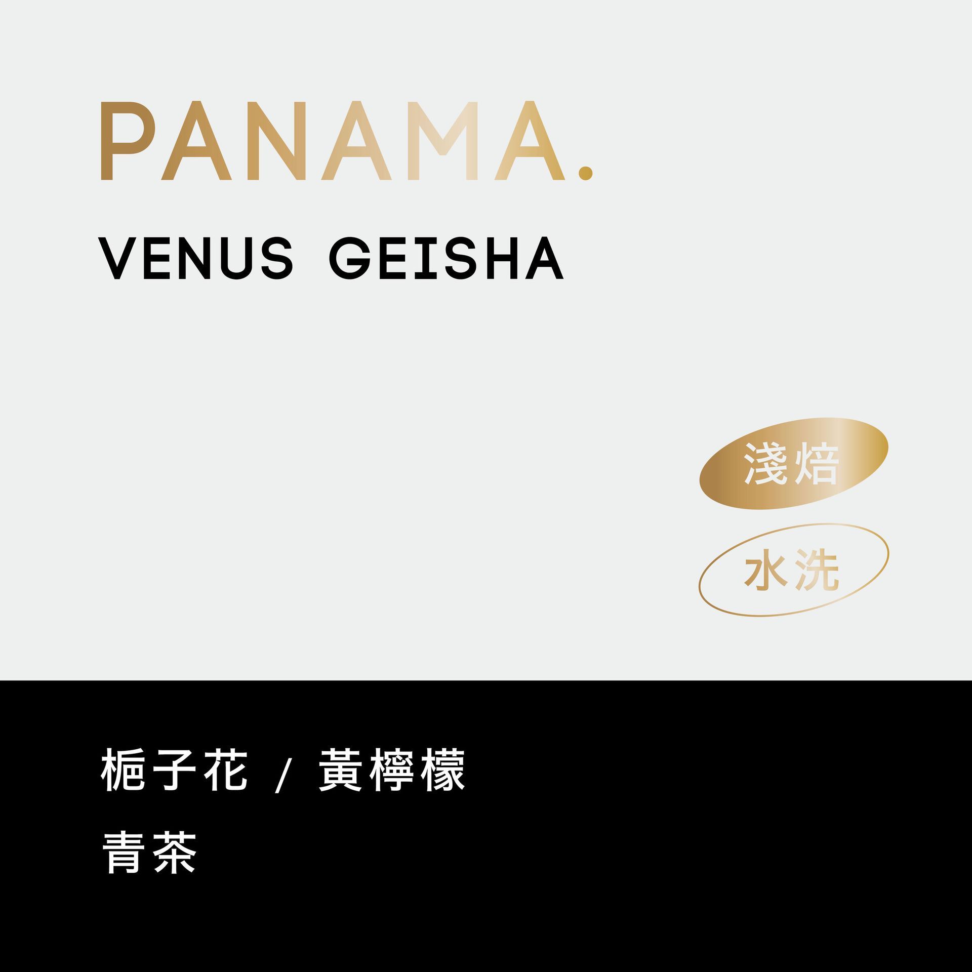 巴拿馬   嚴選  藝伎咖啡 水洗