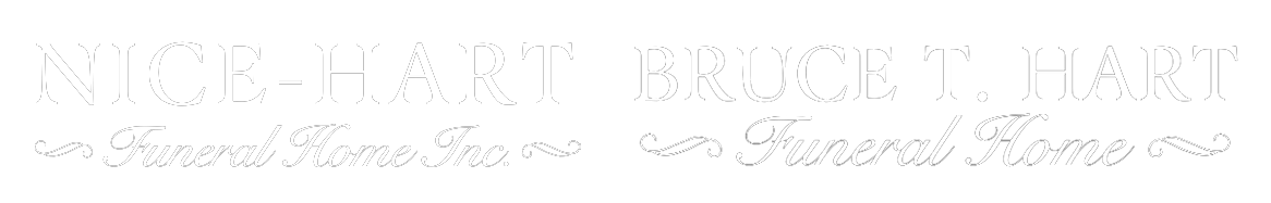 footer logo image