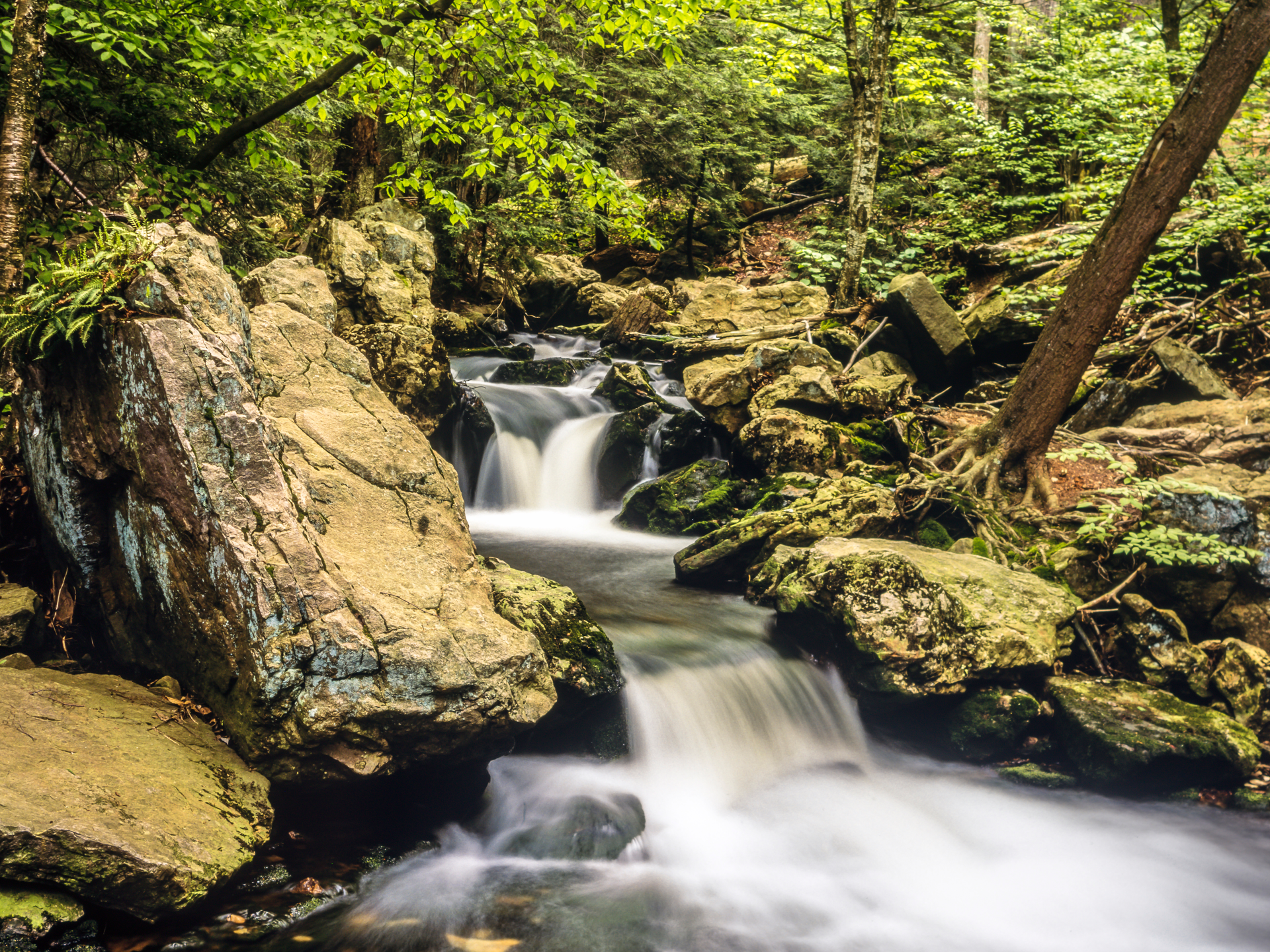Waterfall Photography