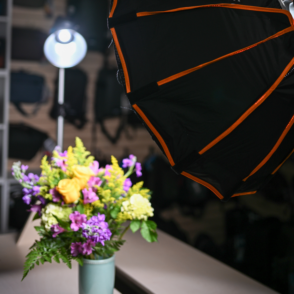 macro photograhy event with Milford Photo