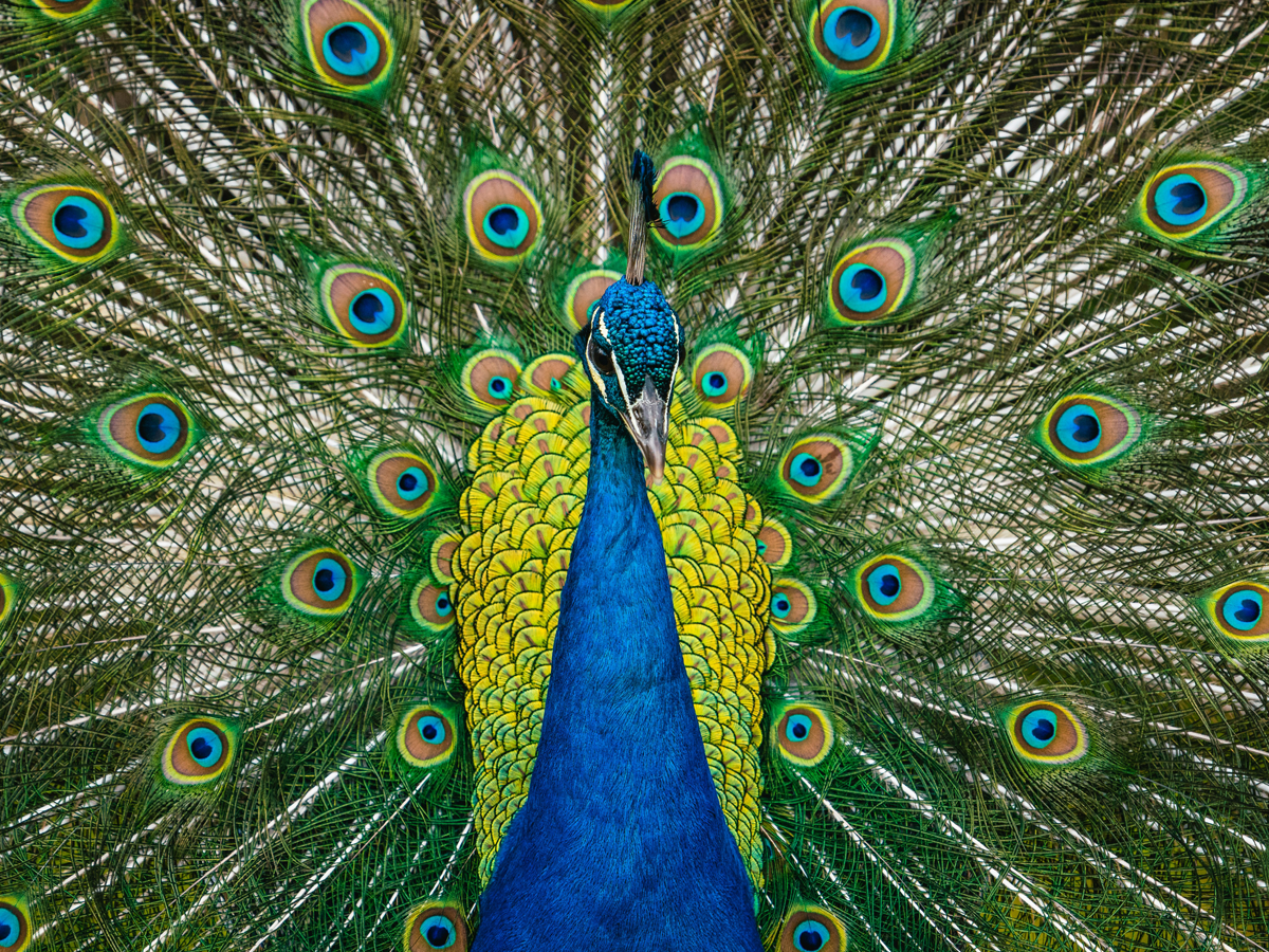 Milford Photo's Day at Beardsley Zoo with Photo Contest