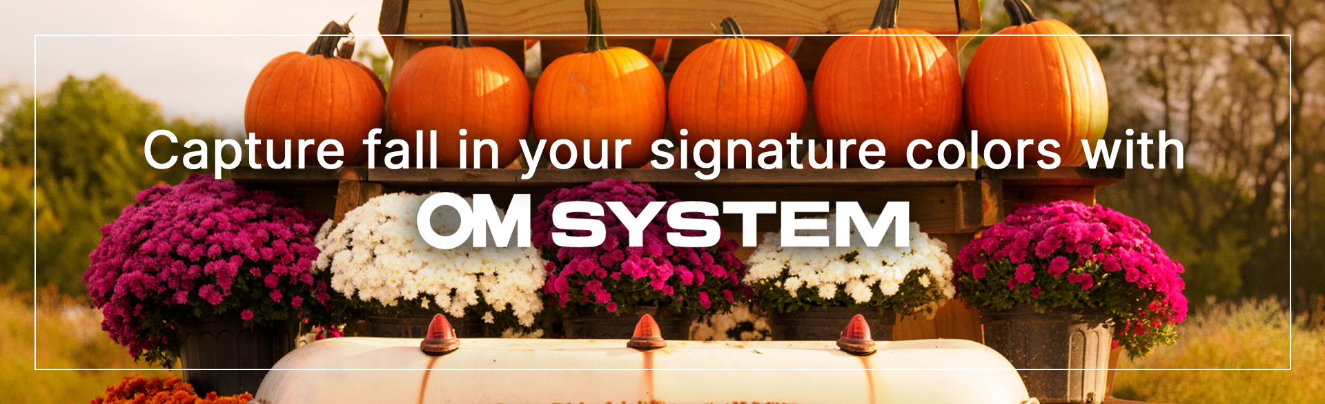 Save on OM System at Milford Photo
