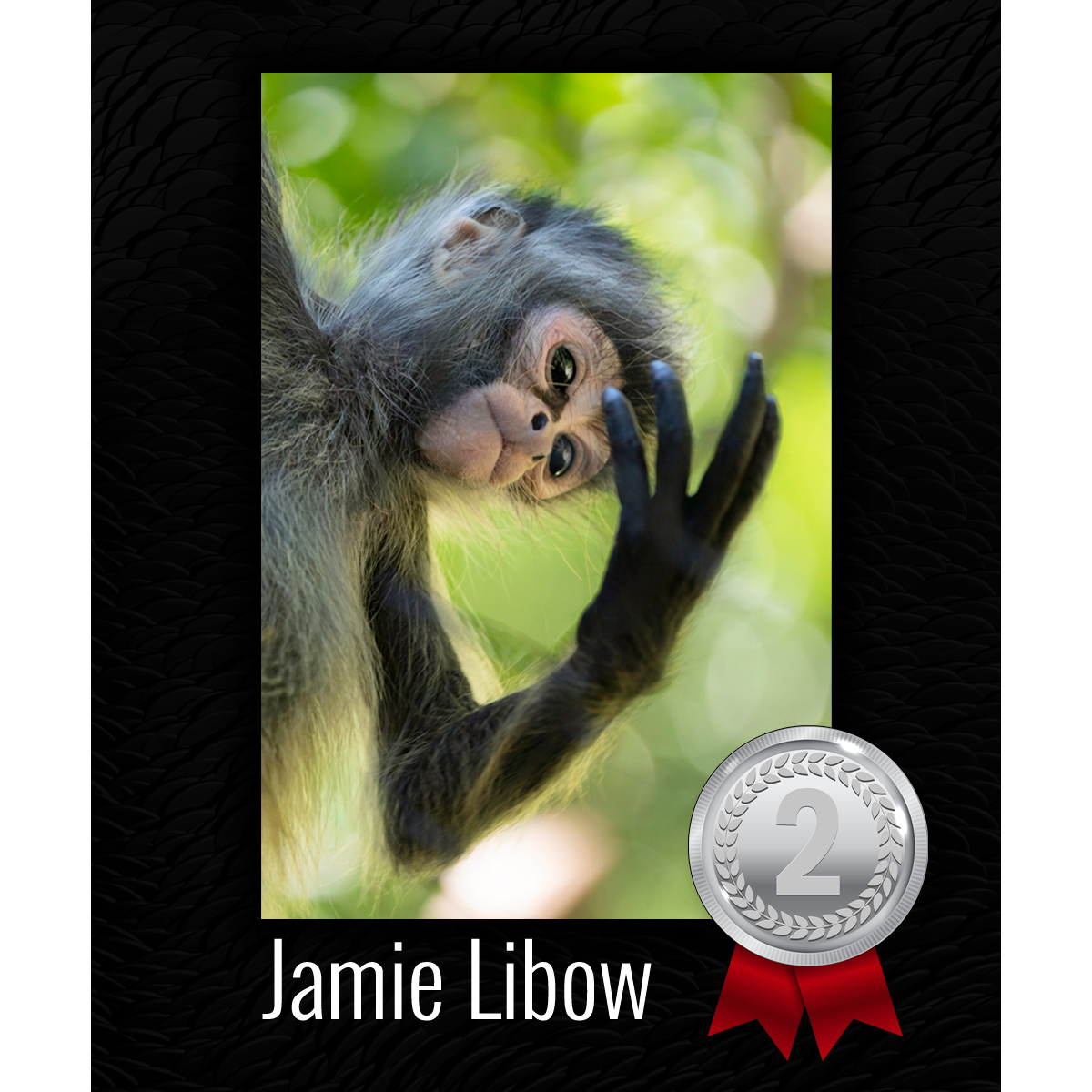 Connecticut's Beardsley Zoo | Photo Contest | 2nd Place Winner Jamie Libow