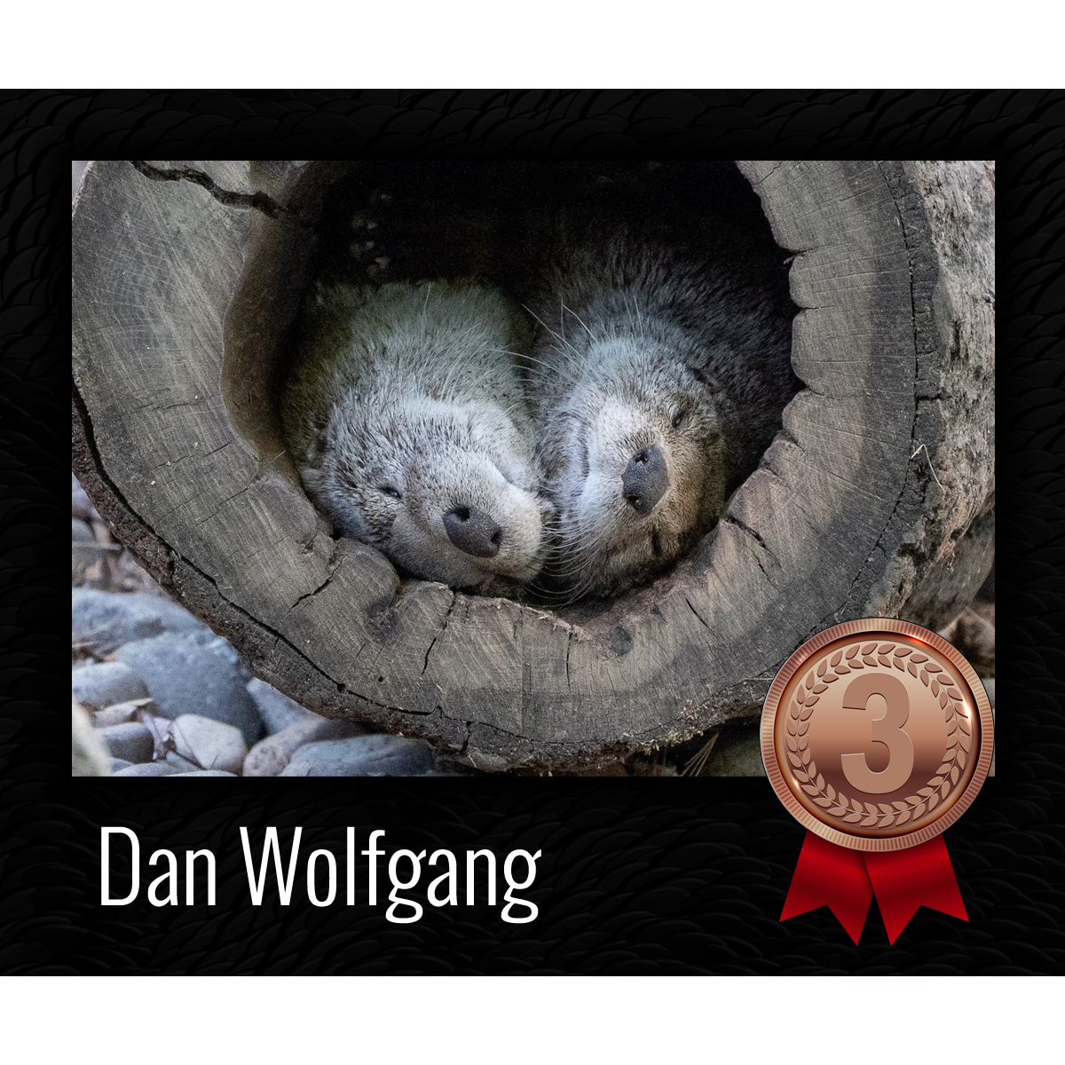 Connecticut's Beardsley Zoo | Photo Contest | 3rd Place Winner Dan Wolfgang