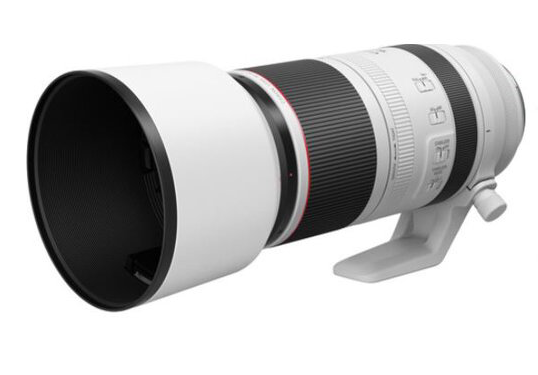 Canon RF 100-500mm F4.5-7.1L IS USM