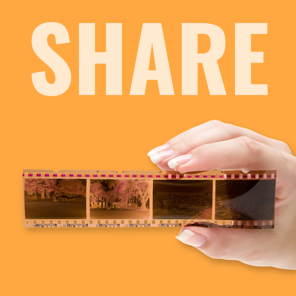 Milford Photo Film Club