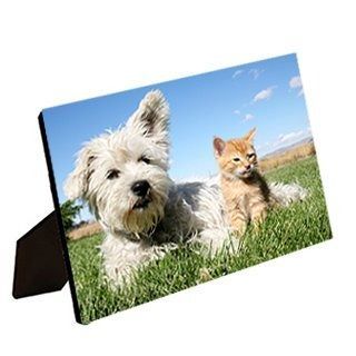 photo print on hardboard