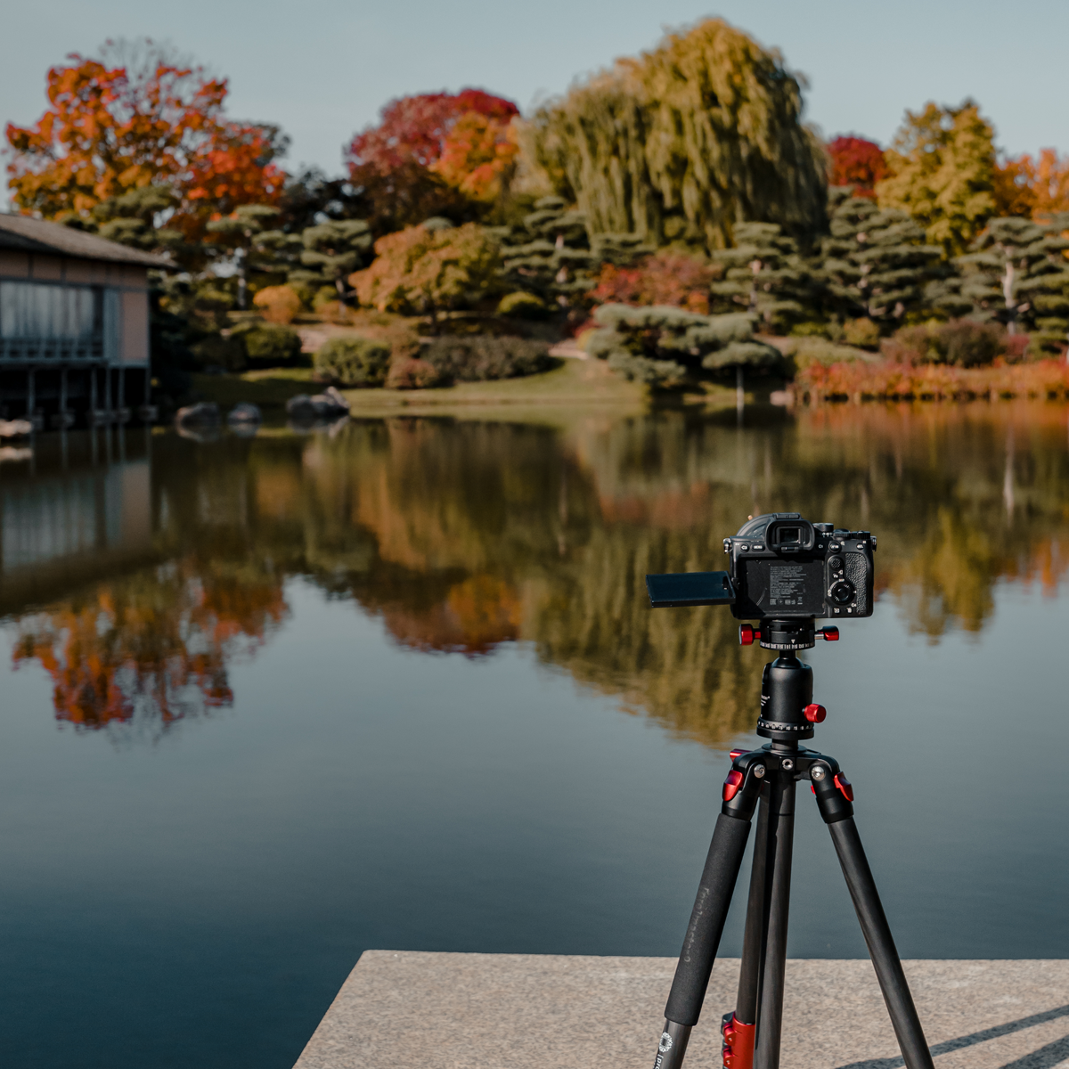 ProMaster Specialist Tripod