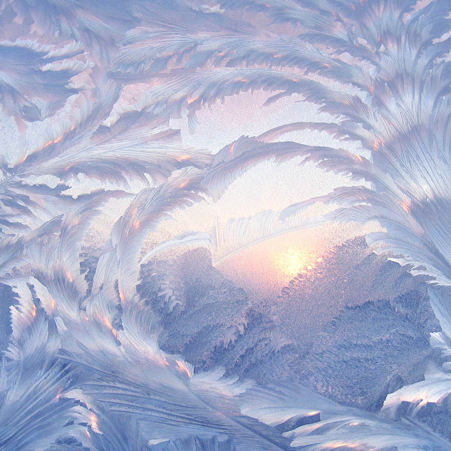 snow photography