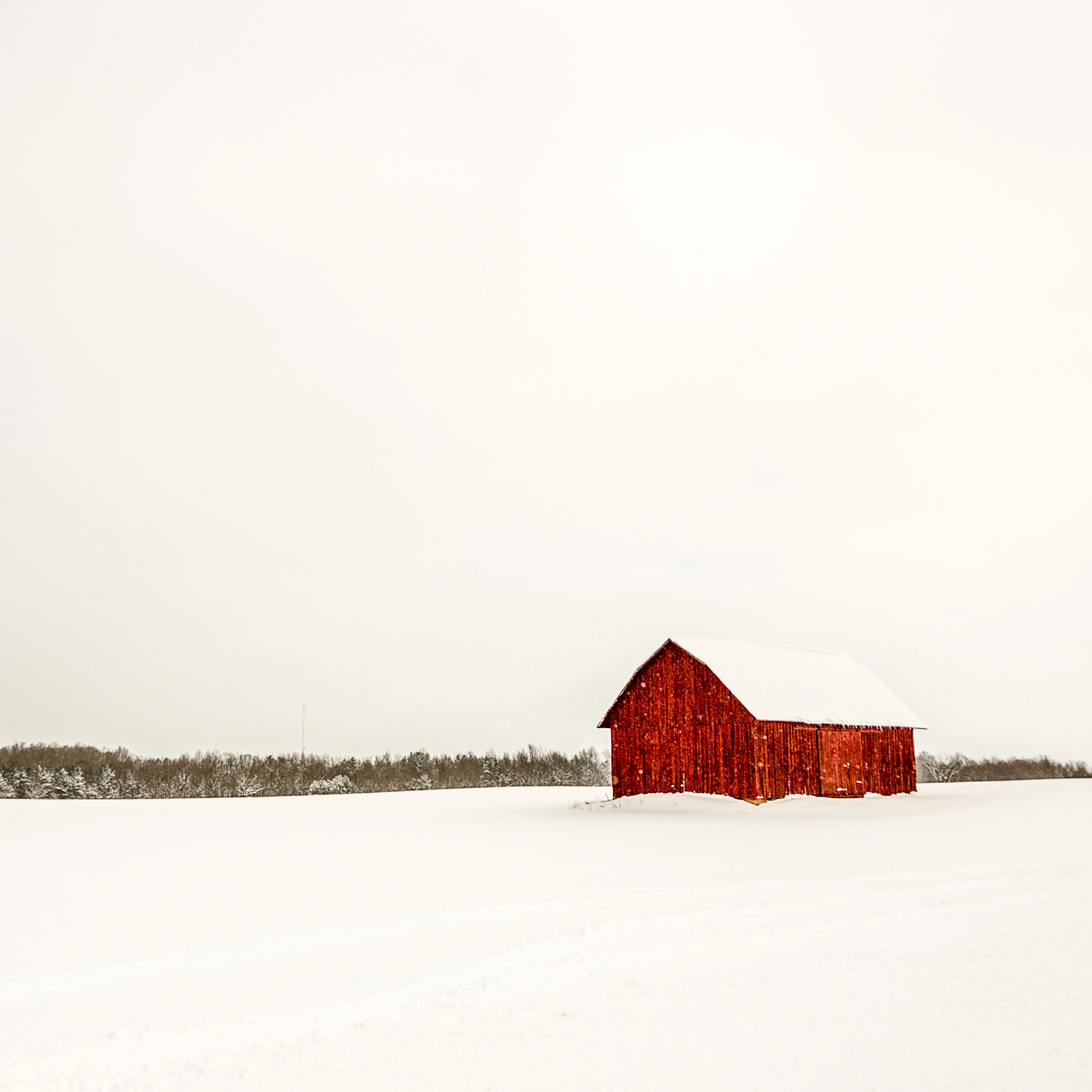 snow photography