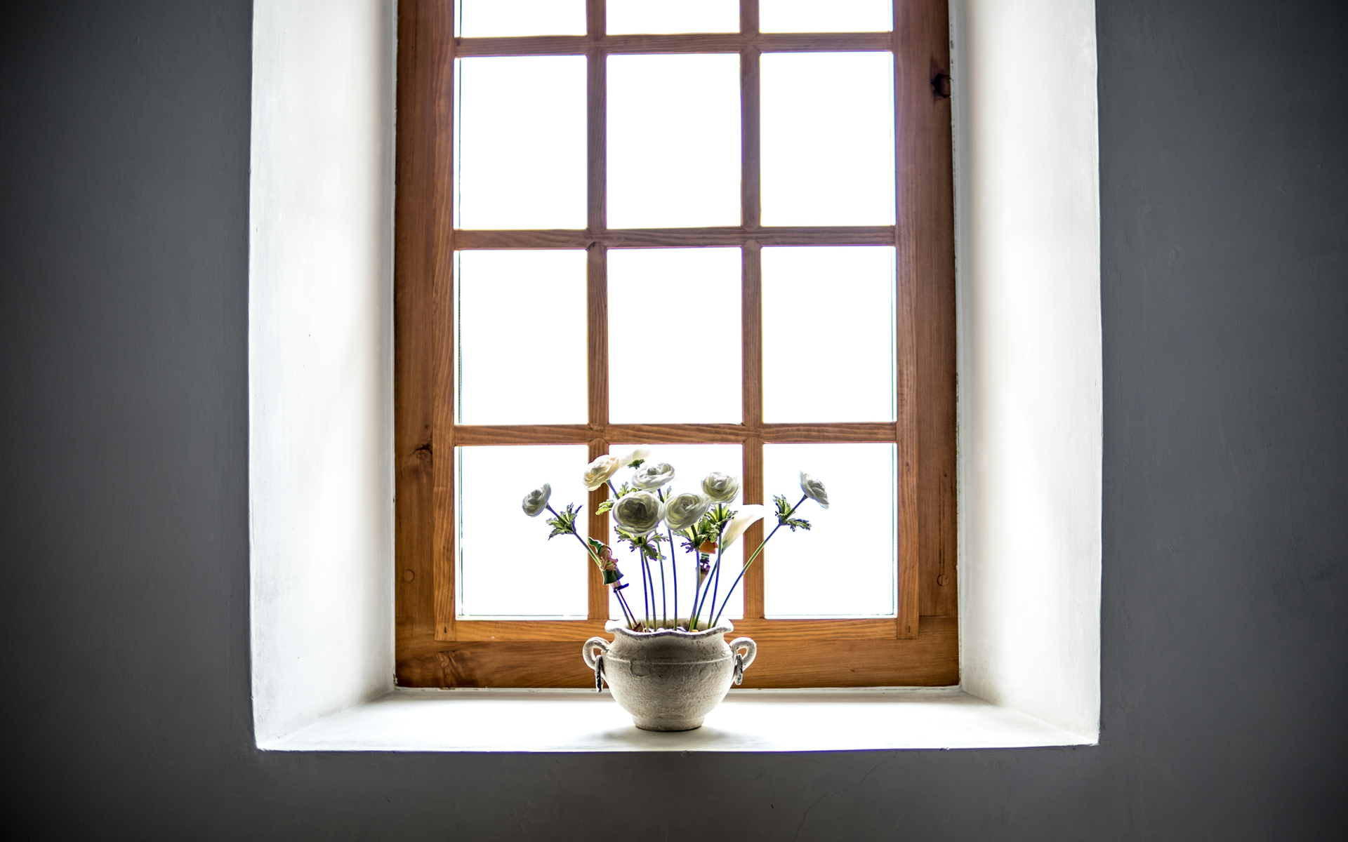 photography lighting