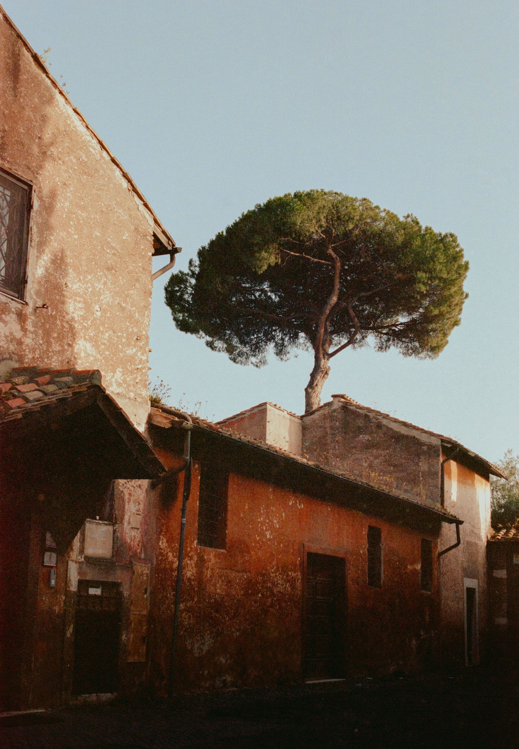 photo by Anastasia Fasnakis