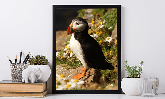 large format printing