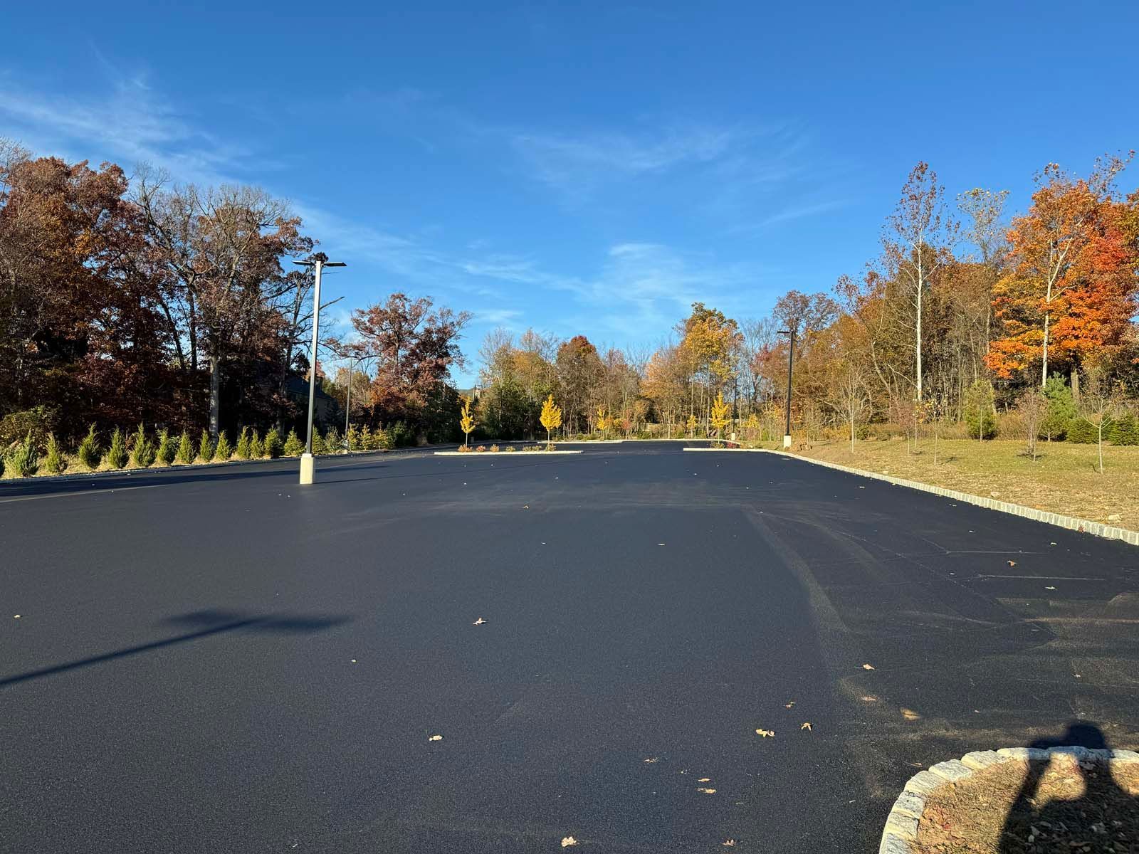 A parking lot with trees in the background on a sunny day