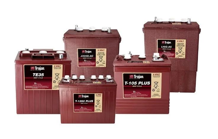 A Group of Trojan Batteries Are Lined Up on a White Background — Central Coast Batteries In Long Jetty, NSW