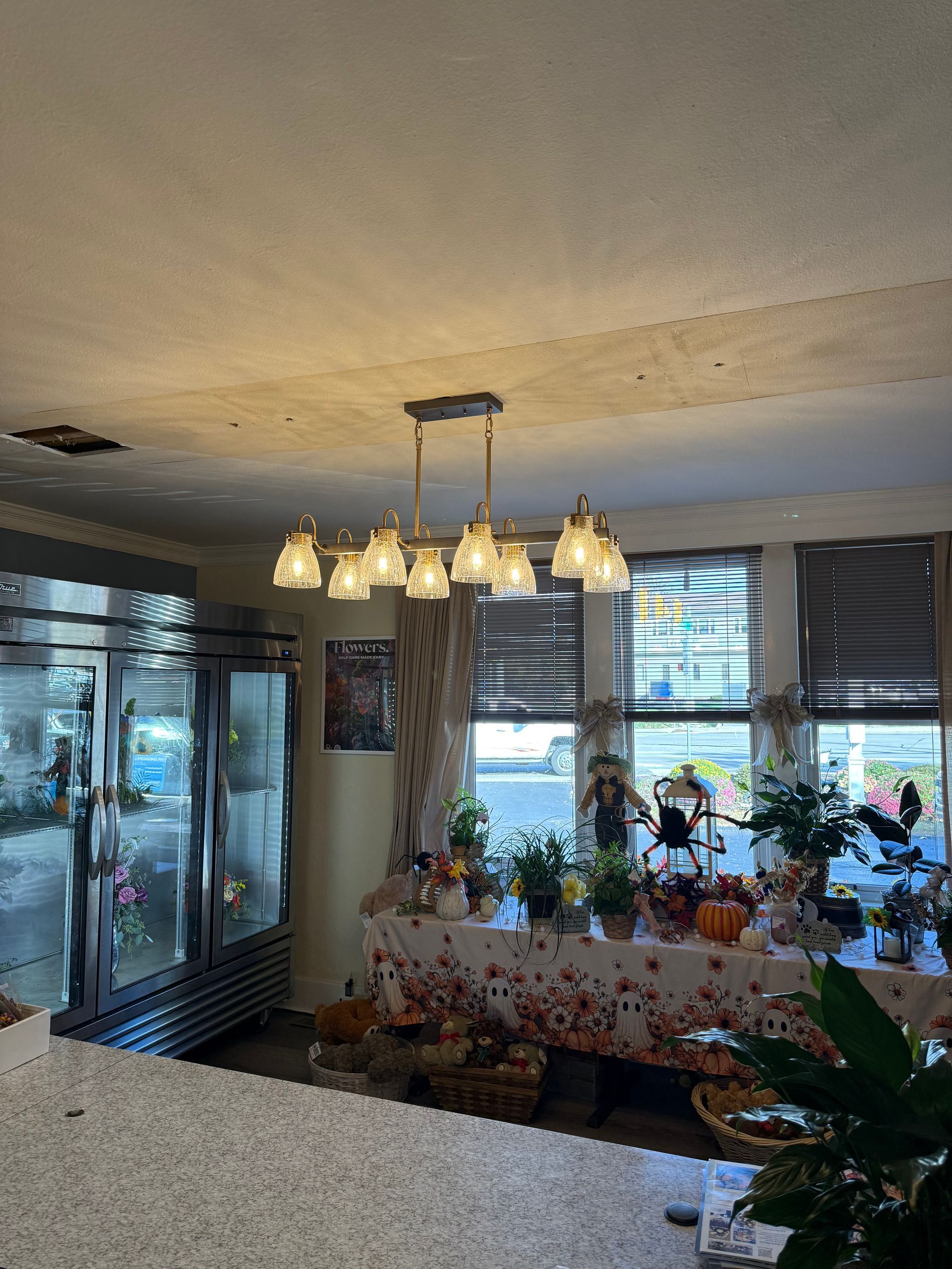 Dining room with chandelier, floral tablecloth, and potted plants by bright windows