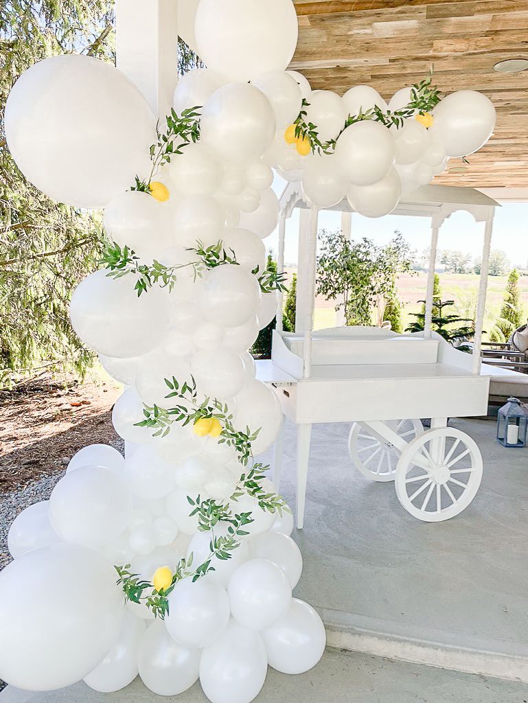 party rentals
