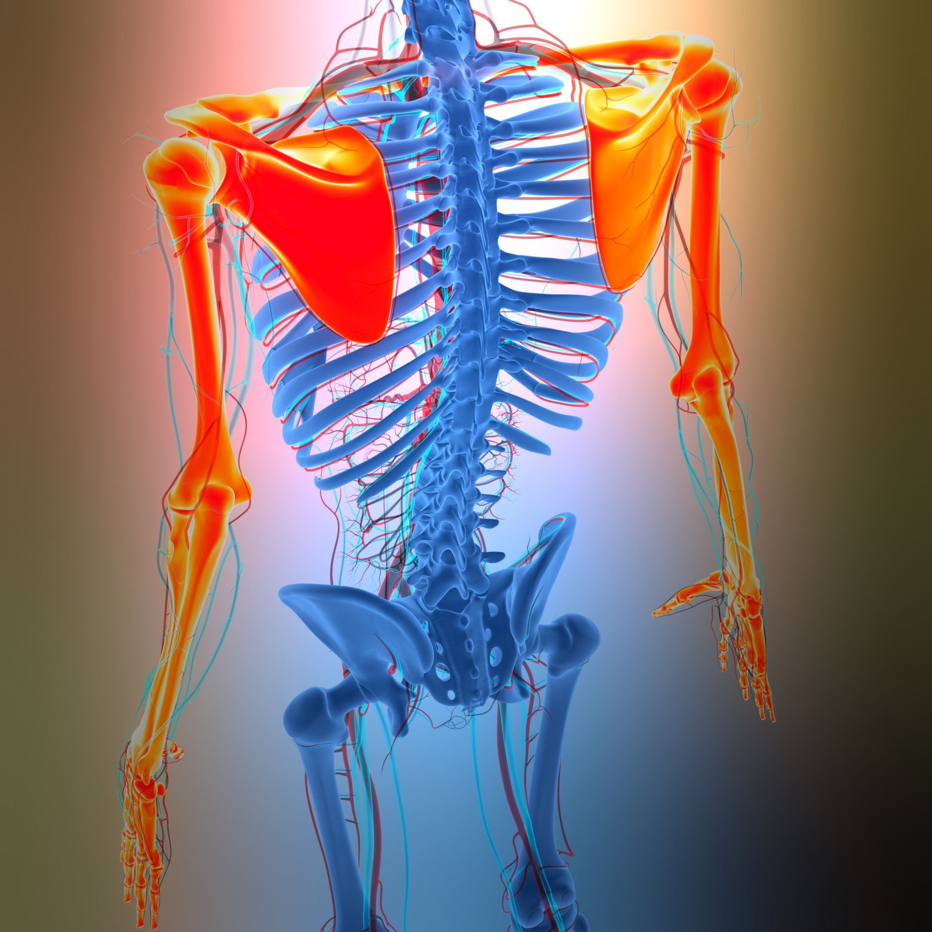 Chiropractic care for arthritis for Adelaide