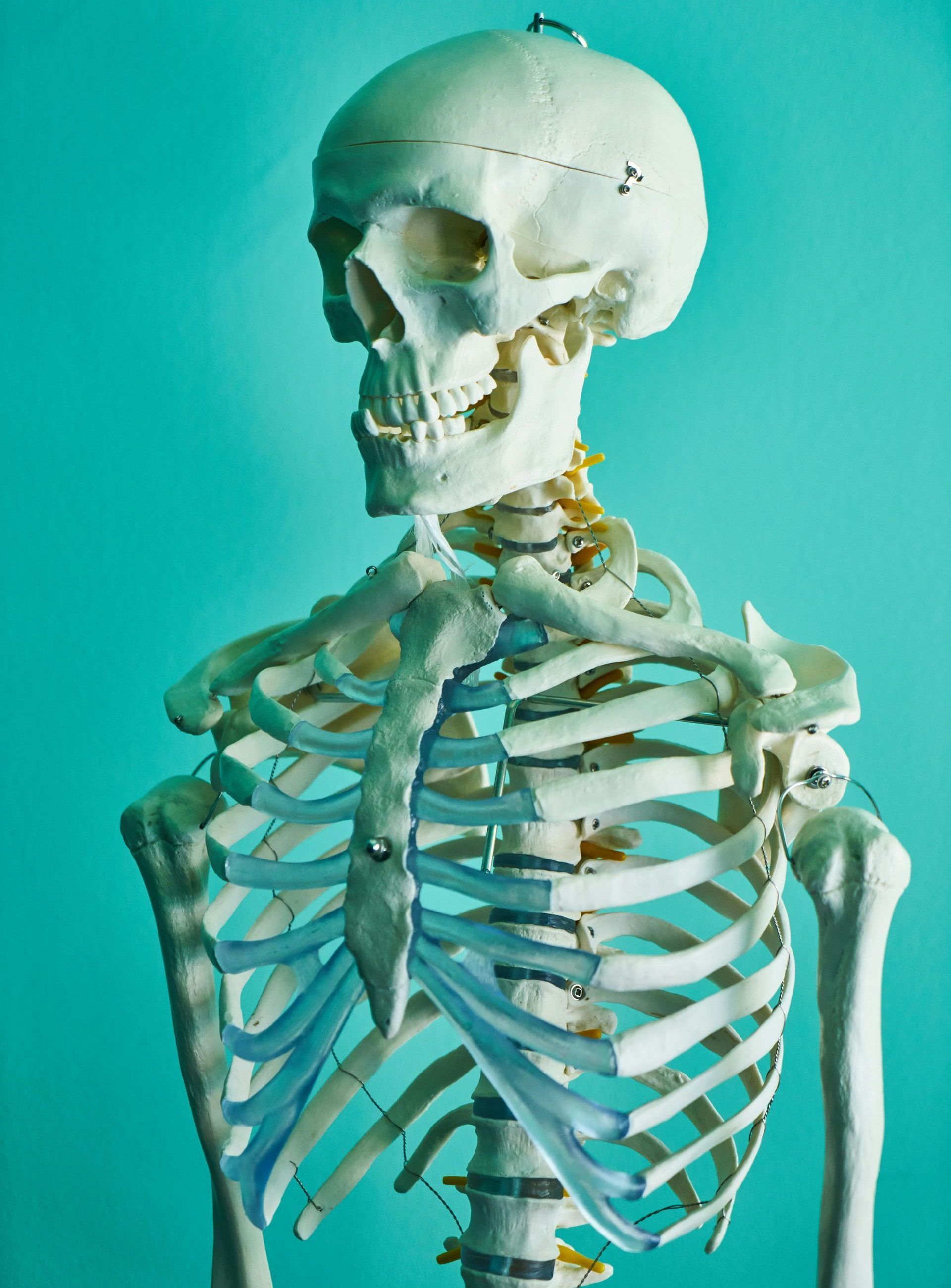 Spinal Checkup Adelaide