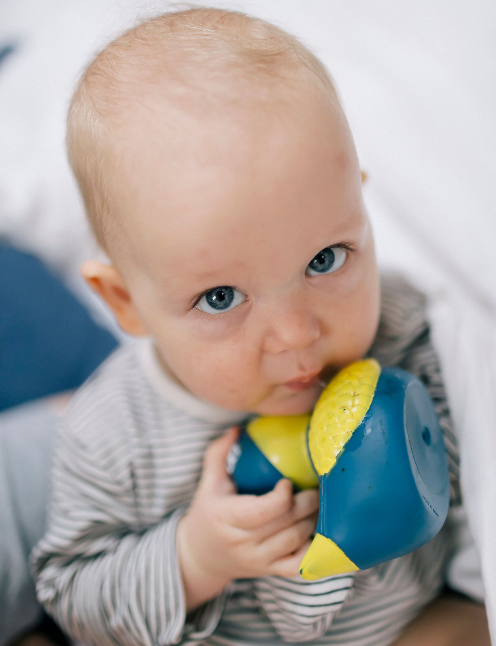 Home Care To Provide Additional Support For Plagiocephaly Chiropractic Treatments