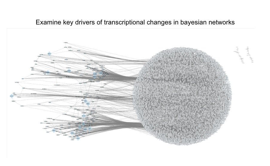 Network diagram: