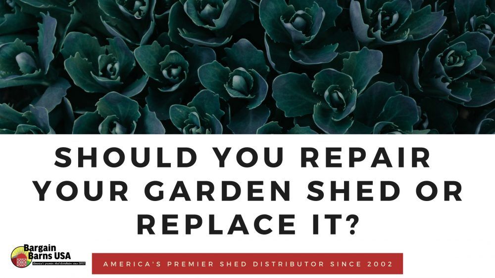 Should You Repair Your Garden Shed or Replace It?