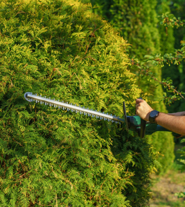 Yard Work