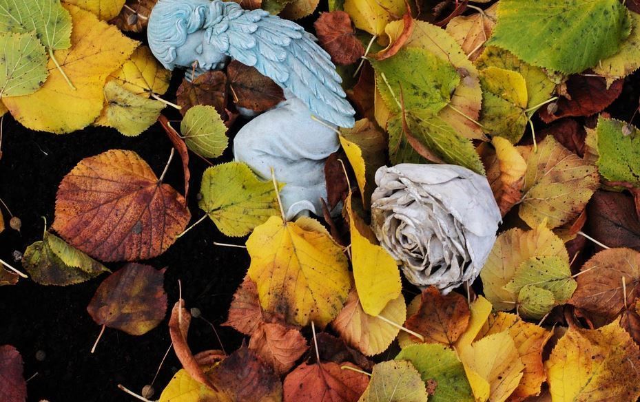 Colorful autumn leaves scattered around a pale blue decorative object and a gray rose-shaped ornament