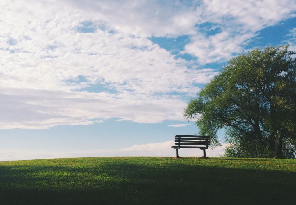 Bench on a grassy hill under a cloudy blue sky beside a leafy tree.