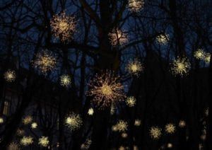 Glowing fireworks burst above dark tree silhouettes against a night sky