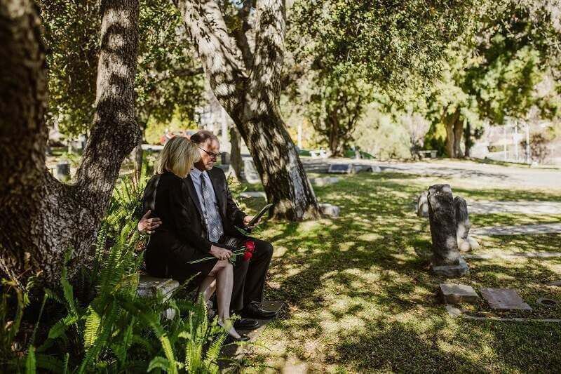 Person sitting on a bench in a sunlit park with trees and grass nearby