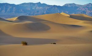 Golden sand dunes in a desert with mountains in the distance under a clear sky