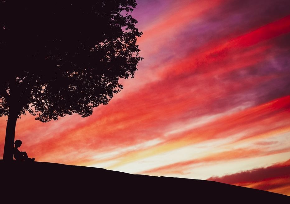 Silhouette of a tree on a hill against a vivid pink and orange sunset sky