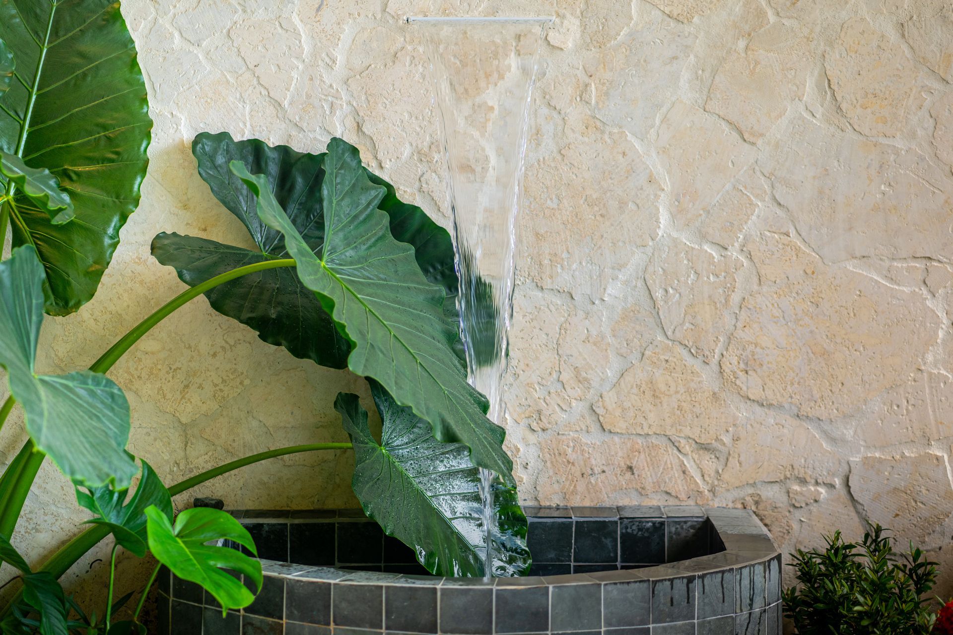 Large green houseplant leaves in a tiled planter against a beige textured wall