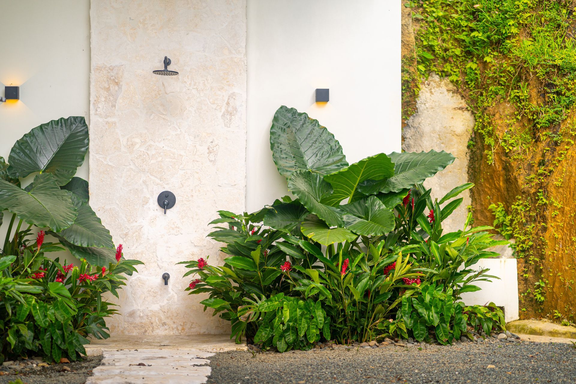 White stucco wall with faucet, flanked by lush green plants and red flowers beside a coral stone wall