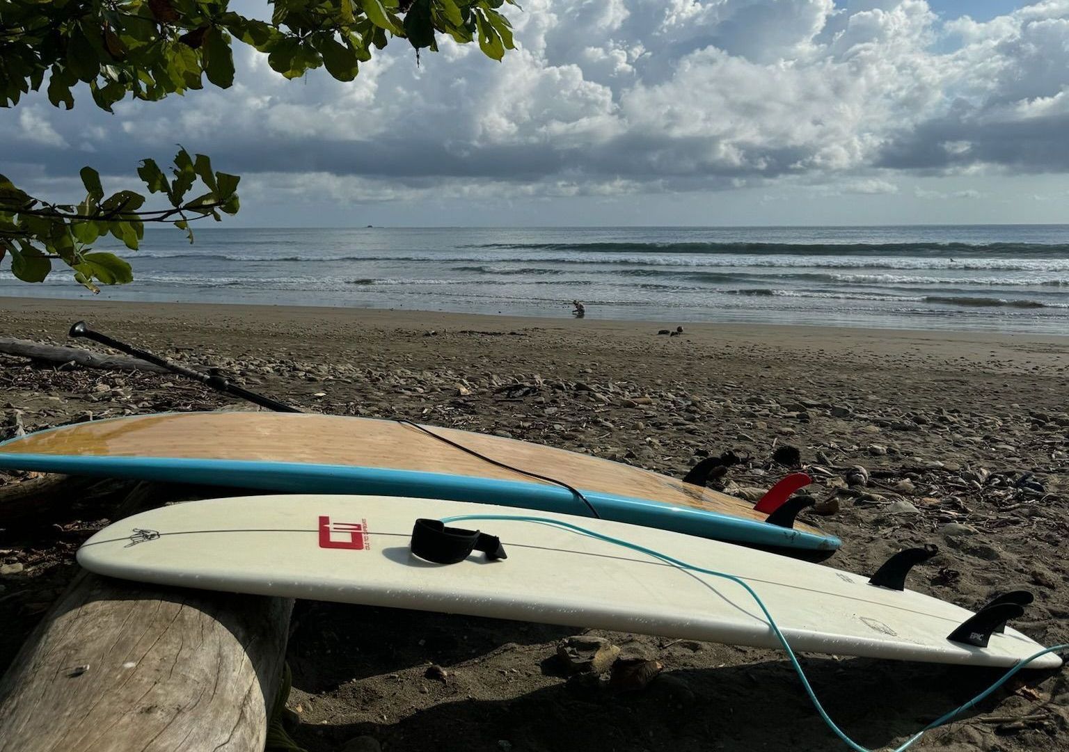 Surfboards on a driftwood log at a rocky beach under cloudy skies.