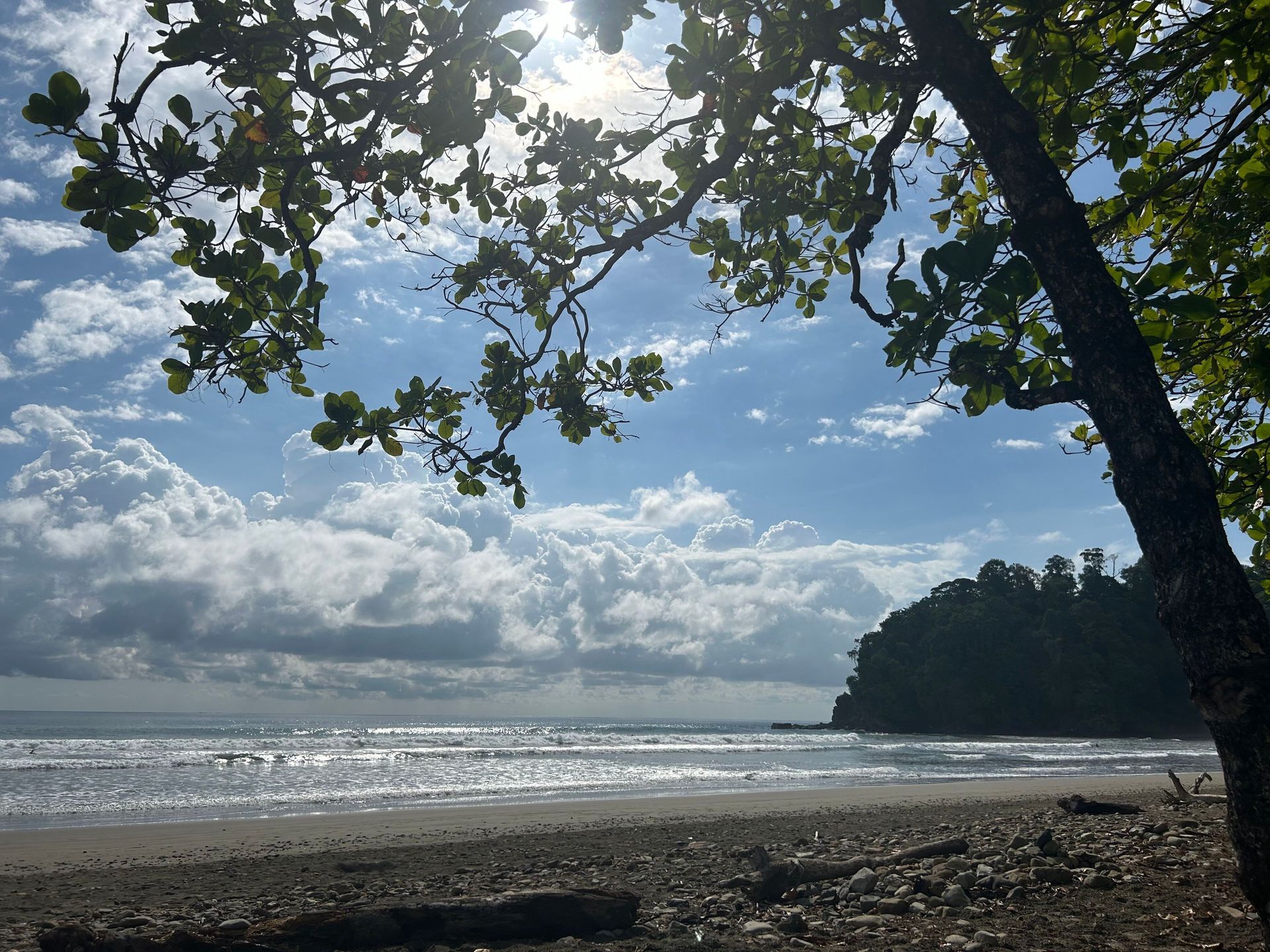 Sunny beach with calm waves, cloudy sky, and silhouetted tree branches framing the shore