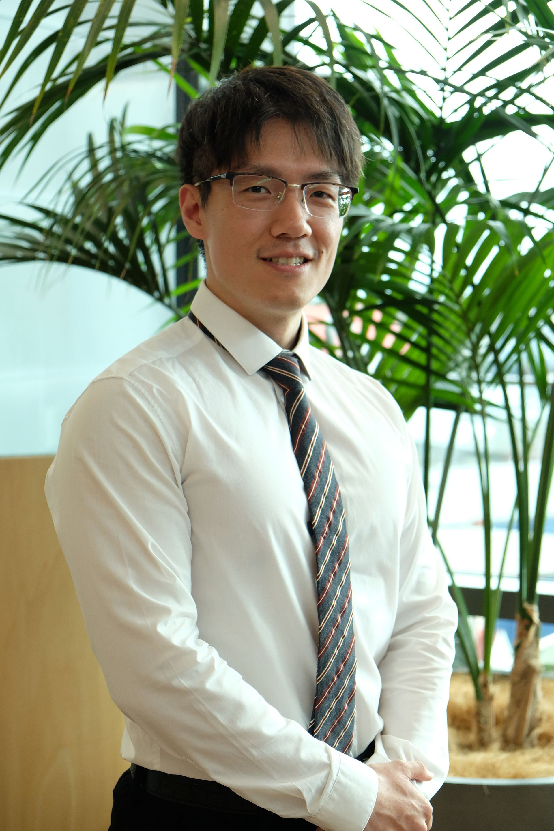 Dr Anbin Li - Engineer FS Consulting