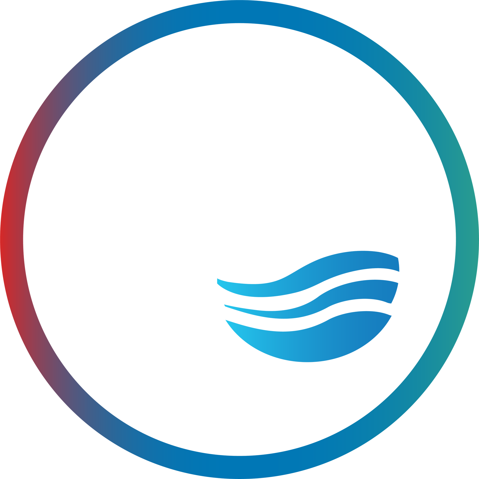 FS Consulting Logo