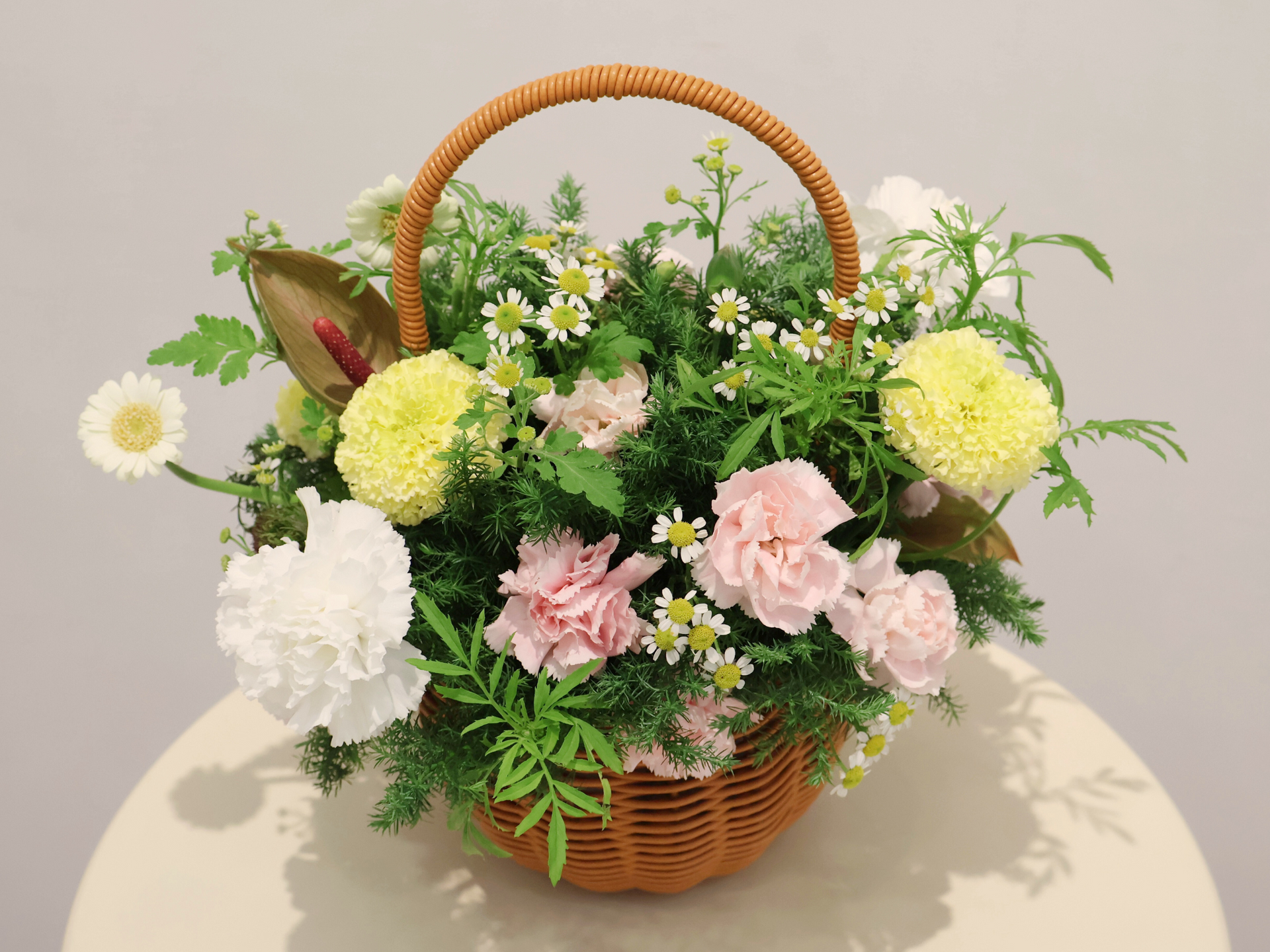 伴日花所,植物健康,植栽,花朵