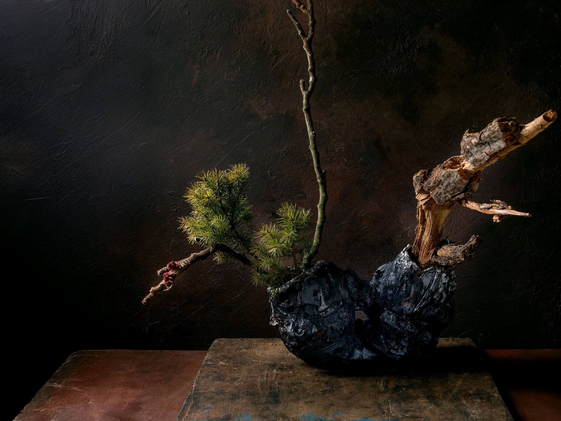 Small bonsai-style tree with twisted branches in a dark vase on a wooden surface against a dark background