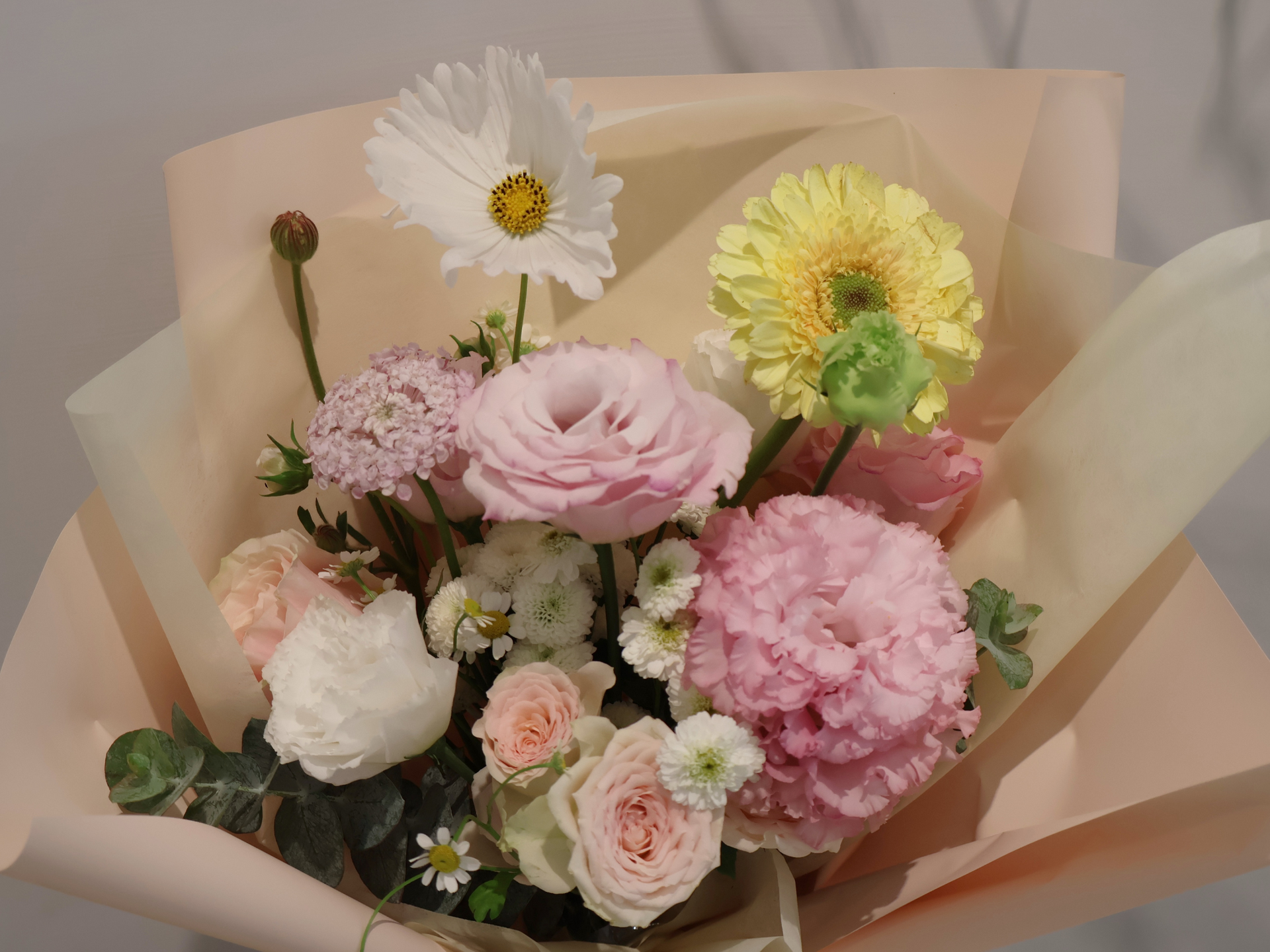伴日花所,鮮花養護