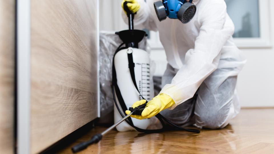 Technician in protective suit disinfecting a floor with a spray wand beside furniture
