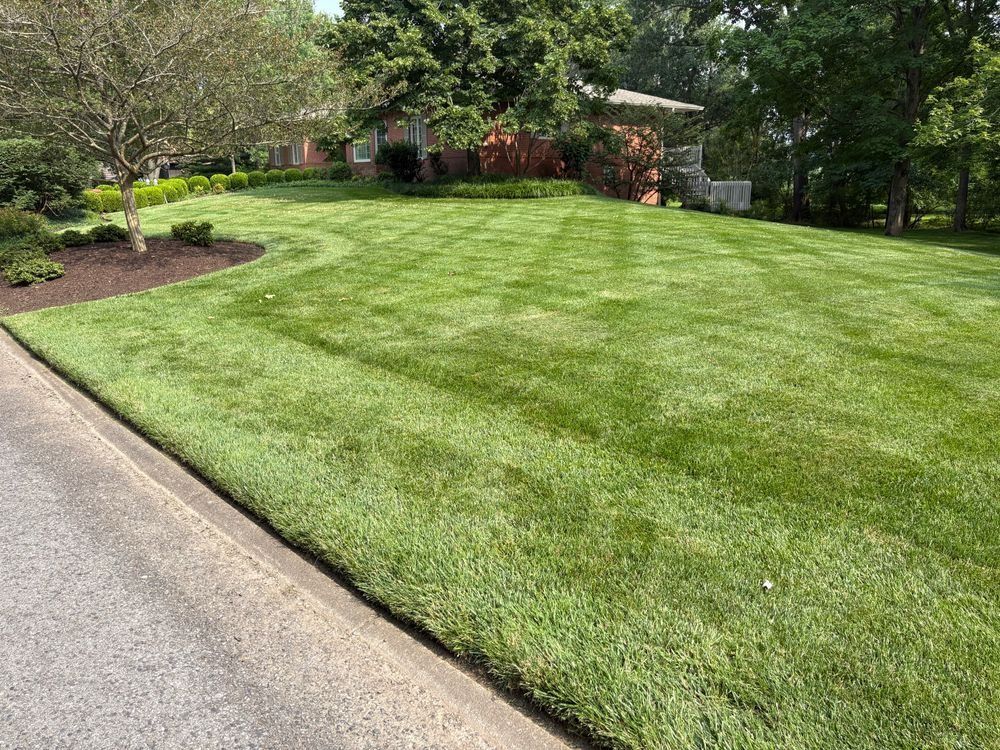 Lawn Care