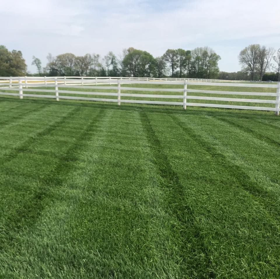 Lawn Care