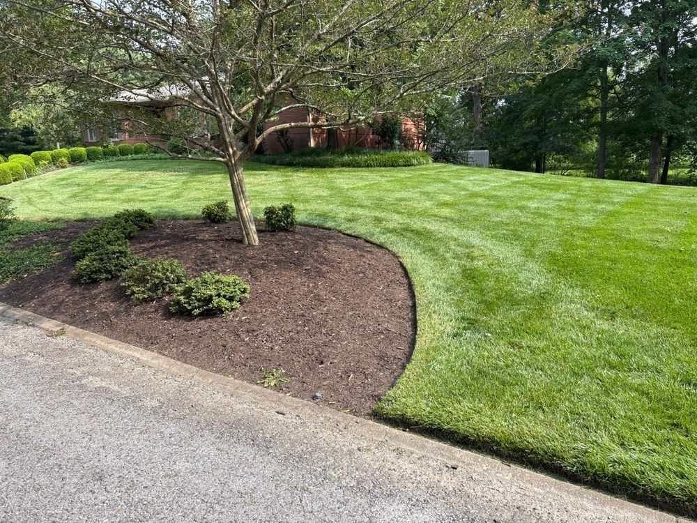 Lawn Care