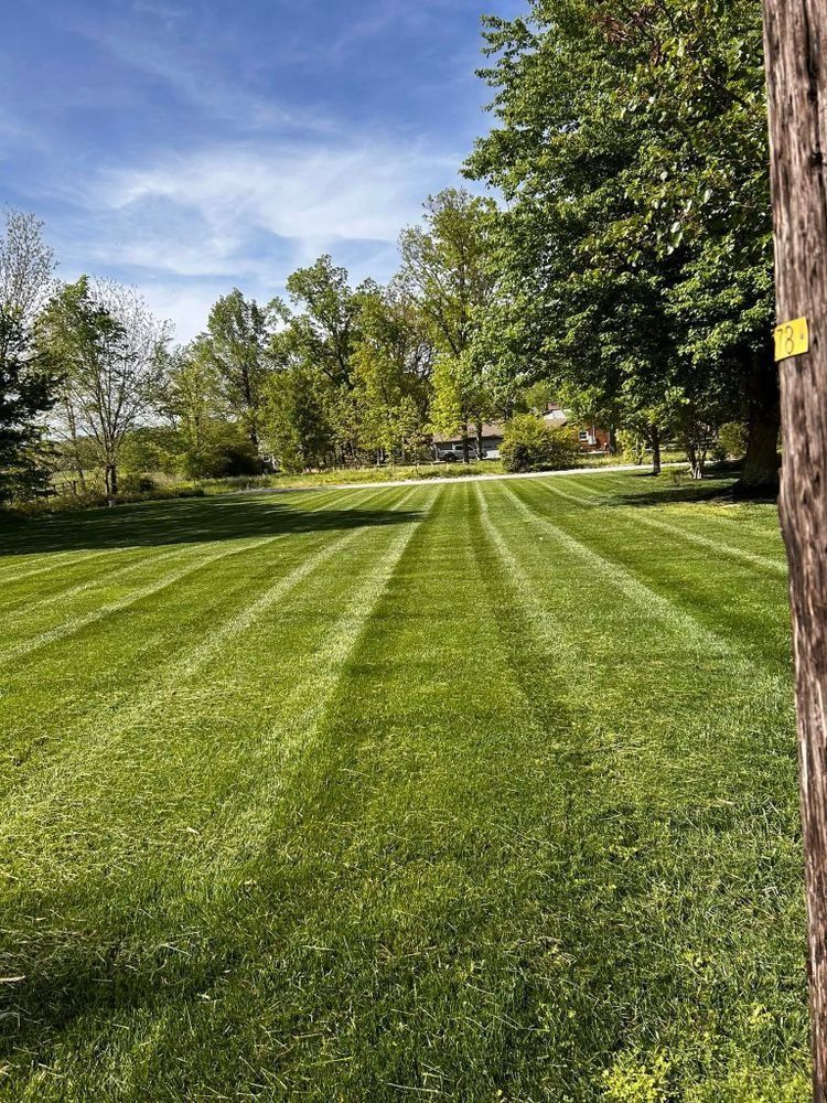 Lawn Care