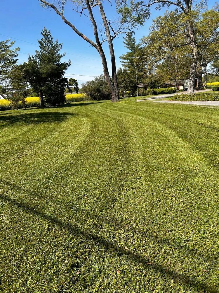 Lawn Care